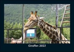 Giraffen 2023 Fotokalender DIN A5