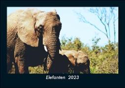 Elefanten 2023 Fotokalender DIN A5