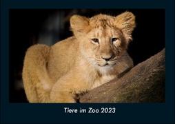 Tiere im Zoo 2023 Fotokalender DIN A4