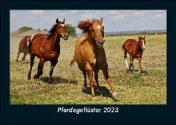 Pferdegeflüster 2023 Fotokalender DIN A5