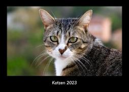 Katzen 2023 Fotokalender DIN A3
