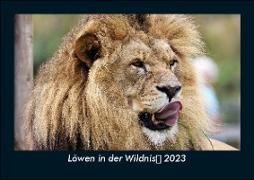 Löwen in der Wildnis 2023 Fotokalender DIN A5