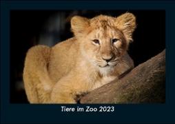 Tiere im Zoo 2023 Fotokalender DIN A5