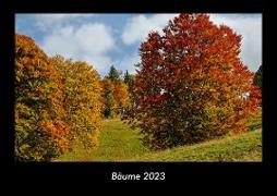 Bäume 2023 Fotokalender DIN A3
