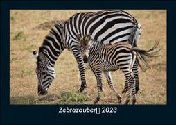 Zebrazauber 2023 Fotokalender DIN A5