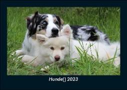Hunde 2023 Fotokalender DIN A5