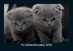 Für Katzenfreunde 2023 Fotokalender DIN A5