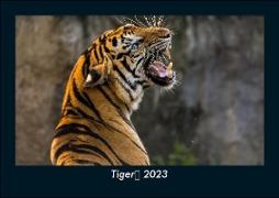 Tiger 2023 Fotokalender DIN A5