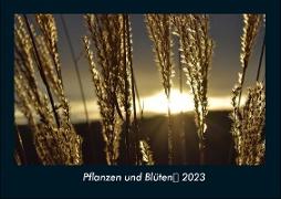 Pflanzen und Blüten 2023 Fotokalender DIN A4