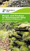 Moose und Flechten im Nationalpark Eifel