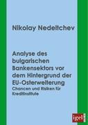 Analyse des bulgarischen Bankensektors vor dem Hintergrund der EU-Osterweiterung