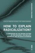 How to Explain Radicalization?