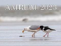 Amrum 2024