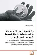 Fact or Fiction: Are U.S.-based SMEs Advanced in Use of the Internet?