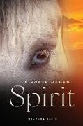 A Horse Named Spirit
