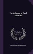 Phosphorus in Beef Animals