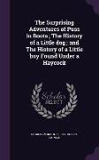 The Surprising Adventures of Puss in Boots, The History of a Little Dog, And the History of a Little Boy Found Under a Haycock