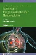 Advances in Image-Guided Cancer Nanomedicine