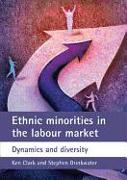 Ethnic Minorities in the Labour Market: Dynamics and Diversity