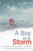 A Boy in a Storm