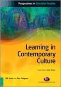 Learning in Contemporary Culture
