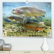Fische in Teichen und Flüssen (Premium, hochwertiger DIN A2 Wandkalender 2023, Kunstdruck in Hochglanz)