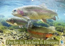 Fische in Teichen und Flüssen (Wandkalender 2023 DIN A2 quer)