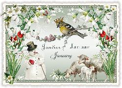 Postkarte. Monats-Edition, Januar - January - Janvier (Quer)