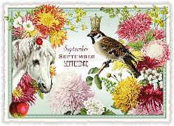 Postkarte. Monats-Edition, September - September - Septembre / Quer