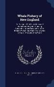 Whale Fishery of New England: An Account, with Illustrations and Some Interesting and Amusing Anecdotes, of the Rise and Fall of an Industry Which H