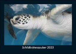 Schildkrötenzauber 2023 Fotokalender DIN A5