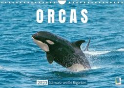 Orcas: Schwarz-weiße Giganten (Wandkalender 2023 DIN A4 quer)