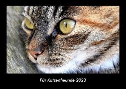 Für Katzenfreunde 2023 Fotokalender DIN A3