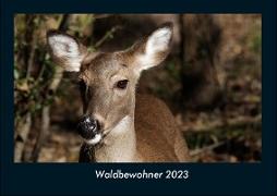 Waldbewohner 2023 Fotokalender DIN A4