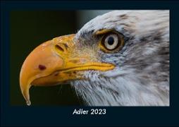 Adler 2023 Fotokalender DIN A5