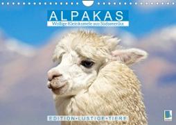 Alpakas: Wollige Kleinkamele aus Südamerika - Edition lustige Tiere (Wandkalender 2023 DIN A4 quer)