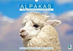 Alpakas: Wollige Kleinkamele aus Südamerika - Edition lustige Tiere (Wandkalender 2023 DIN A3 quer)