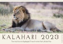 Kalahari - Tierreichtum im Kgalagadi Transfrontier Park, Südafrika (Wandkalender 2023 DIN A2 quer)