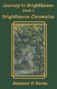 Journey to Brighthaven: Brighthaven Chronicles, Book 1 (Paprback)