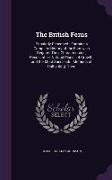 The British Ferns: Popularly Described: Forming a Complete History of the Family as Regards Their Characteristics, Peculiarities, Natural