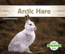 Arctic Hare