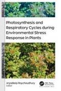 Photosynthesis and Respiratory Cycles during Environmental Stress Response in Plants