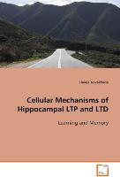 Cellular Mechanisms of Hippocampal LTP and LTD