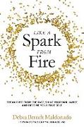 Like a Spark From Fire: Break Free From the Past, Shine Your Brilliance and Become Your True Self