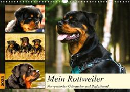 Mein Rottweiler. Nervenstarker Gebrauchs- und Begleithund (Wandkalender 2023 DIN A3 quer)