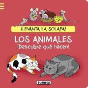 Los animales. ¡Descubre qué hacen!