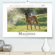 Malinois... was sonst! (Premium, hochwertiger DIN A2 Wandkalender 2023, Kunstdruck in Hochglanz)