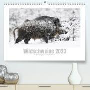 Wildschweine ¿ Wildlife Fotografien (Premium, hochwertiger DIN A2 Wandkalender 2023, Kunstdruck in Hochglanz)