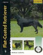 Flat-coated retriever