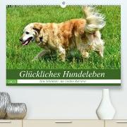 Glückliches Hundeleben (Premium, hochwertiger DIN A2 Wandkalender 2023, Kunstdruck in Hochglanz)